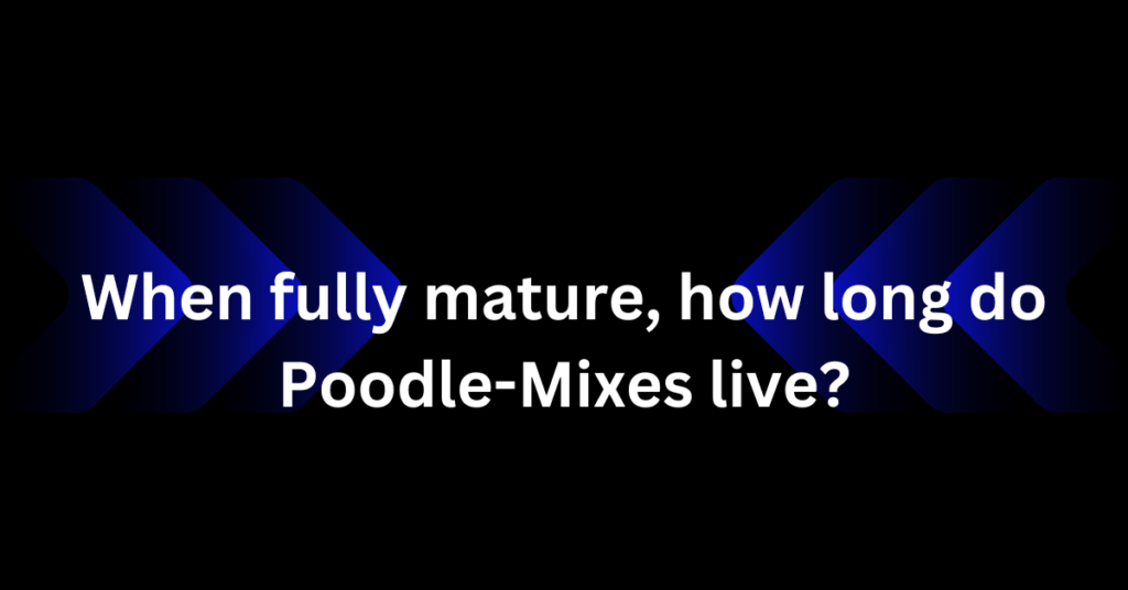 When fully mature, how long do Poodle-Mixes live?