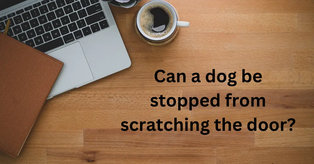 Can A Dog Be Stopped From Scratching The Door? ProPetsPassion