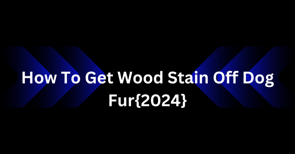 How To Get Wood Stain Off Dog Fur{2024}