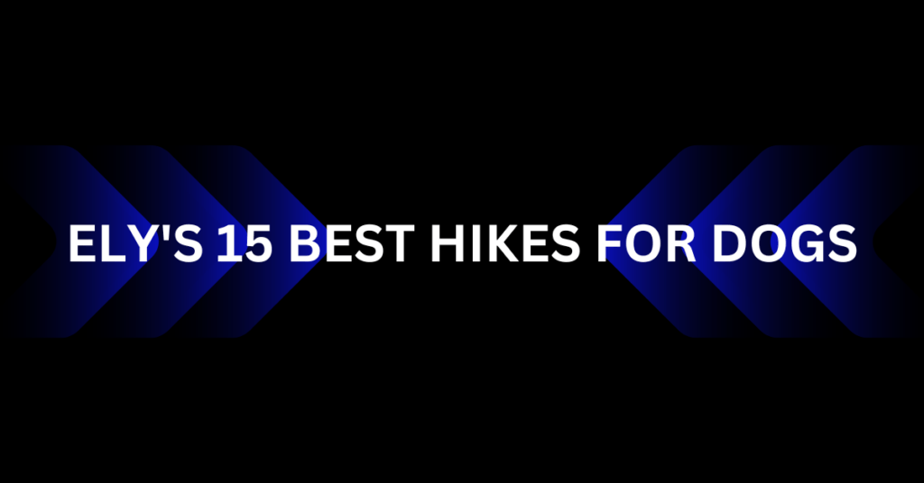 ELY'S 15 BEST HIKES FOR DOGS