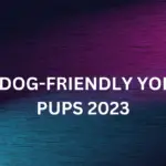 TOP 15 DOG-FRIENDLY YONK CITY PUPS 2023