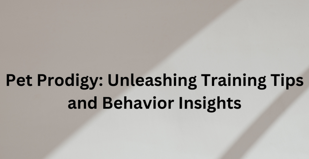 Pet Prodigy: Unleashing Training Tips and Behavior Insights