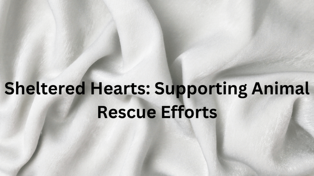 Sheltered Hearts: Supporting Animal Rescue Efforts