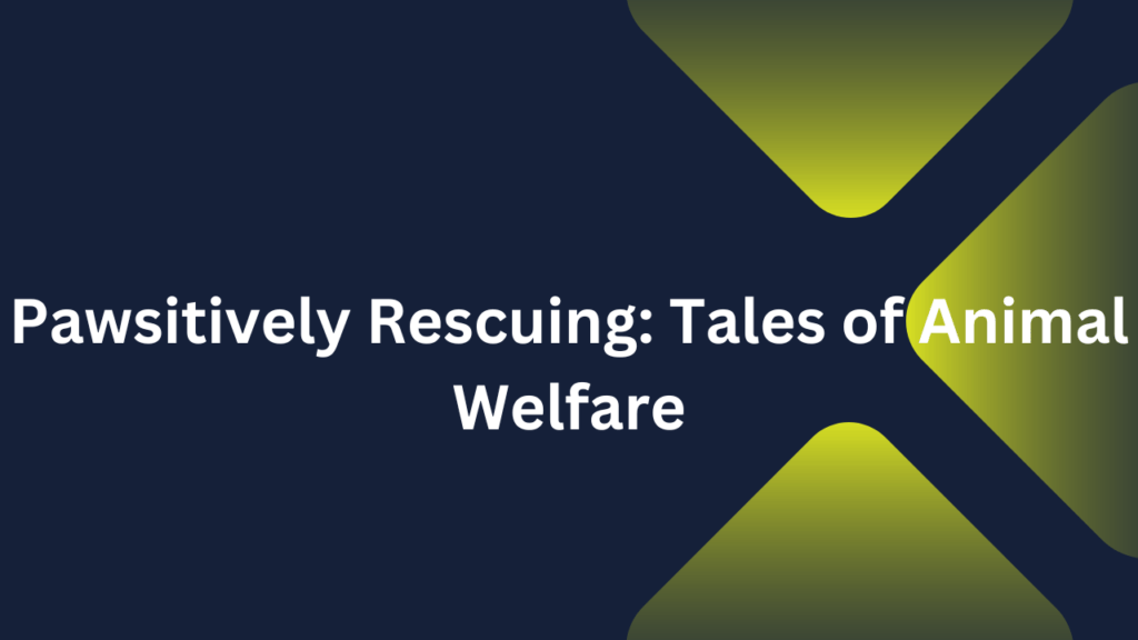 Pawsitively Rescuing: Tales of Animal Welfare
