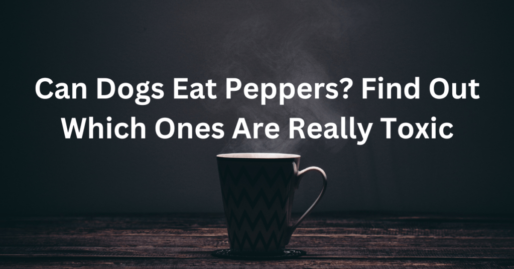 Can Dogs Eat Peppers? Find Out Which Ones Are Really Toxic