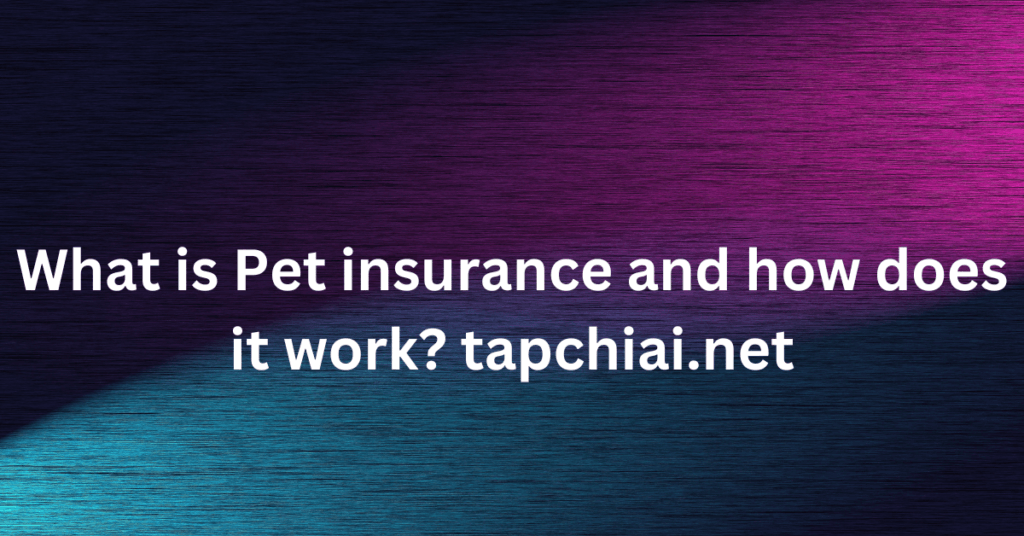 What is Pet insurance and how does it work? tapchiai.net