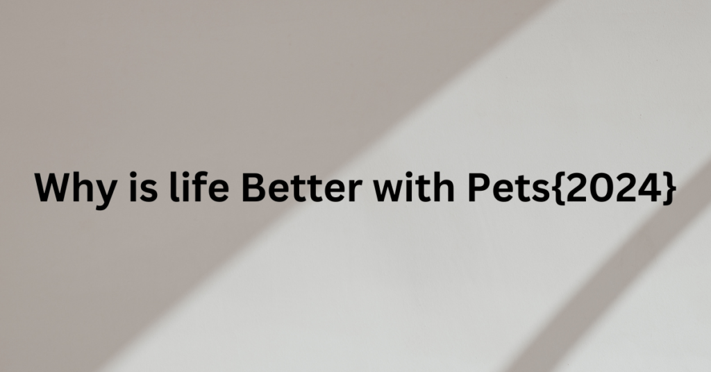 Why is life Better with Pets{2024}