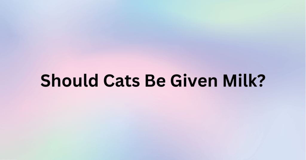 Should Cats Be Given Milk?
