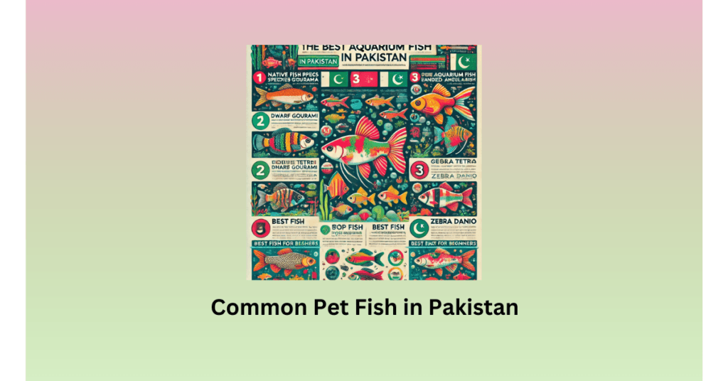 Common Pet Fish in Pakistan
