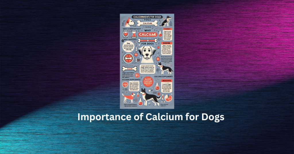 Importance of Calcium for Dogs
