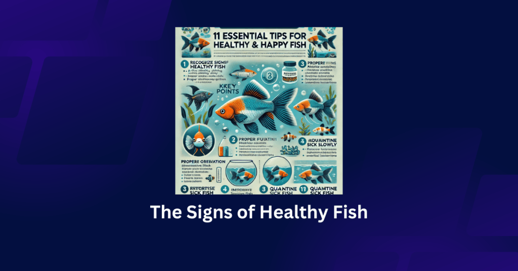The Signs of Healthy Fish